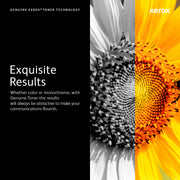 Xerox Genuine Xerox Magenta High Capacity Toner Ca – Laser | Xerox
