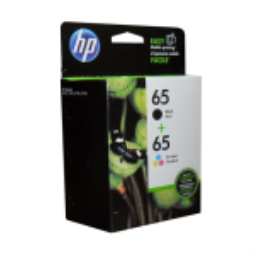 HP 65 Clr/Blk Ink Crtg Combo 2-Pack – Inkjets Non Moving | HP Canada