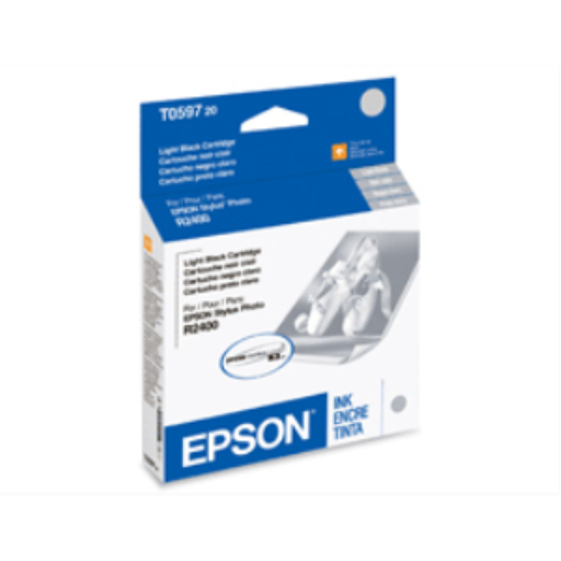 T059720 Epson Light Black Original Ink Cartridge – Inkjets | Epson