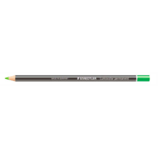 Lumocolor? permanent glasochrom Waterproof dry marker - Green – General | STAEDTLER