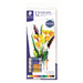 8500-C12-02 STAEDTLER-Mars Limited ACRYLIC PAINT 12ml TUBES – Products for Artists | STAEDTLER