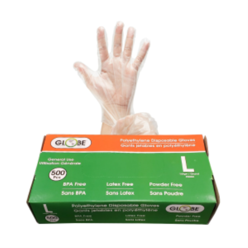 Polyethylene Gloves Powder Free - Large (box of 500) – Gloves | Globe Commercial Products
