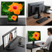 SHARP/NEC E271N-BK 27" Narrow Bezel Desktop Monitor with IPS Panel and Integrated Speakers – Desktop Monitor | SHARP Canada