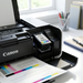 CL-246XL INK CARTRIDGE SKU 8280B001 – Inkjets | Canon