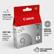 Canon PGI-9 Gray Ink Tank (1042B002)